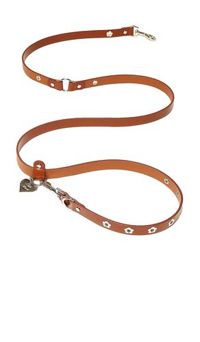 LAISSE POUR CHIEN FLOWER POWER LEASH in - Little Beast - Modalova