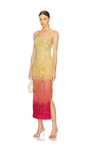 ROBE LONGUE EN DENTELLE en ,. Taille L. Also en M - LA FUORI - Modalova