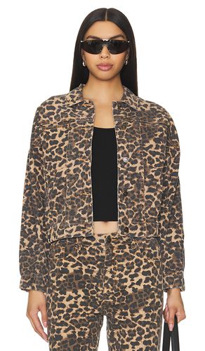 BLOUSON CARMELA in . Size XS, XXS - LIONESS - Modalova