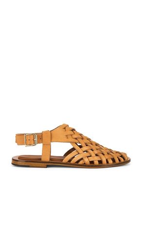 Woven Sandal en . Taille 36. Also en 37 - Mansur Gavriel - Modalova