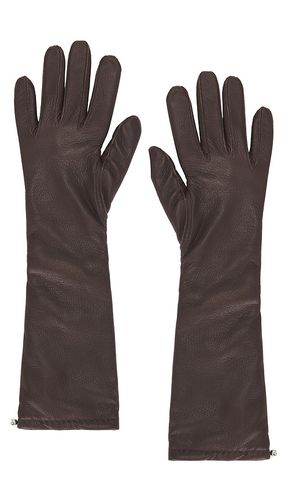 GANTS in . Size S - Magda Butrym - Modalova