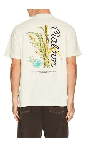 T-SHIRT en . Taille S. Also en XL/1X - Malbon - Modalova