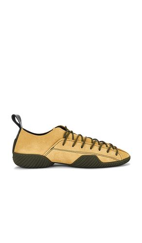 SNEAKERS PRUDENCE en . Taille 39. Also en - Miista - Modalova