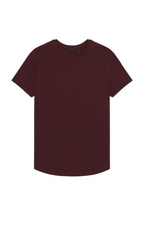 T-SHIRT in . Size M, L, XL/1X - Monfrere - Modalova