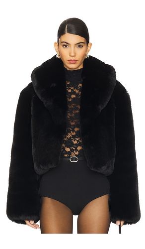 BLOUSON BROOKLYN en . Taille S. Also en XS, M - NBD - Modalova