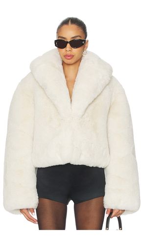 BLOUSON BROOKLYN en . Taille S. Also en XXS, XS, M - NBD - Modalova