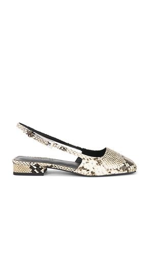 PLAT THE PENNY en . Taille 5. Also en 6 - Nakedvice - Modalova