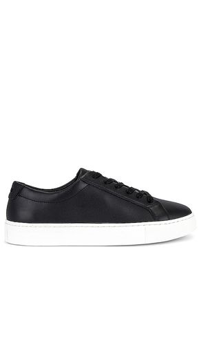 SNEAKERS KURT in . Size 7.5 - New Republic - Modalova