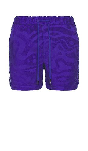 OAS SHORT in Purple. Size L, XL/1X - OAS - Modalova