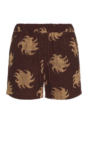 OAS SHORT in Brown. Size S, XL/1X - OAS - Modalova