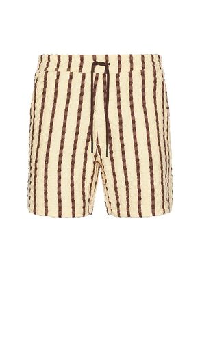 SHORT TARTUFO in . Size M, S, XL/1X - OAS - Modalova