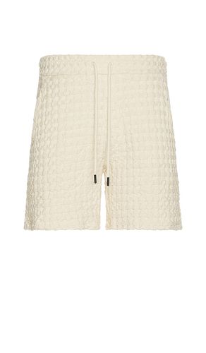 Ecru Porto Waffle Shorts en . Taille S. Also en XL/1X - OAS - Modalova