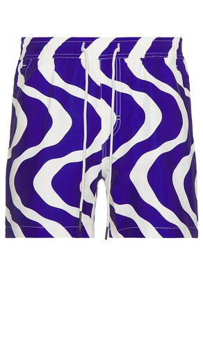 Rippling Swim Short in . Size M, XL/1X - OAS - Modalova