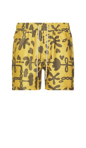 Galbanum Swim Short in . Size XL/1X - OAS - Modalova