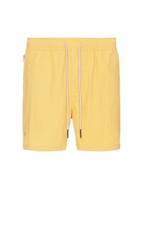 Nylon Swim Shorts in . Size S, XL/1X - OAS - Modalova