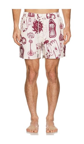 SHORT en . Taille S. Also en L, XL/1X - OAS - Modalova