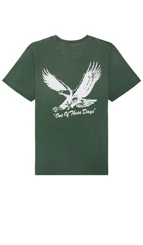 Screaming Eagle Tee in . Size M, S, XL/1X - ONE OF THESE DAYS - Modalova