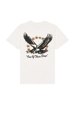 Screaming Eagle T-Shirt in . Size M, S, XL/1X - ONE OF THESE DAYS - Modalova