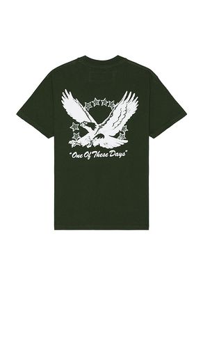 Screaming Eagle T-Shirt in . Size M, S, XL/1X - ONE OF THESE DAYS - Modalova