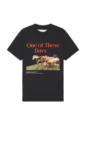 Wild Horses T-Shirt in . Size M, S, XL/1X - ONE OF THESE DAYS - Modalova