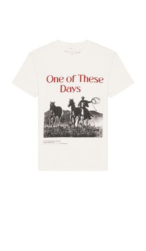 T-SHIRT in . Size M, S, XXL/2X - ONE OF THESE DAYS - Modalova