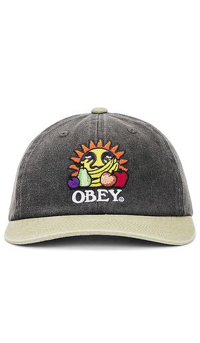 Obey CHAPEAU in Multi - Obey - Modalova