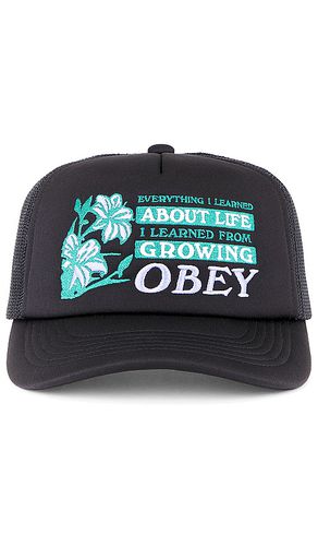 Obey CHAPEAU in Black - Obey - Modalova