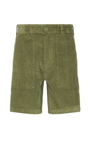 Reed Corduroy Utility Short in . Size 34, 36 - Obey - Modalova