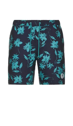 SHORT in . Size M, XL/1X - Original Penguin - Modalova