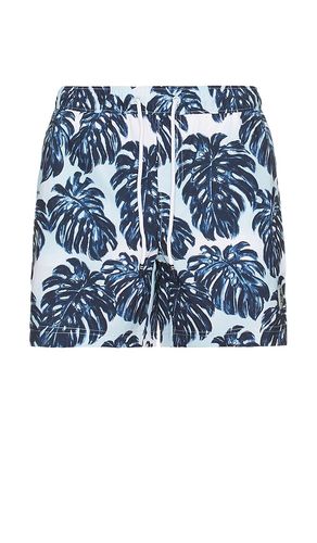 All Over Print Monstera Swim Trunk in . Size S, XL/1X - Original Penguin - Modalova