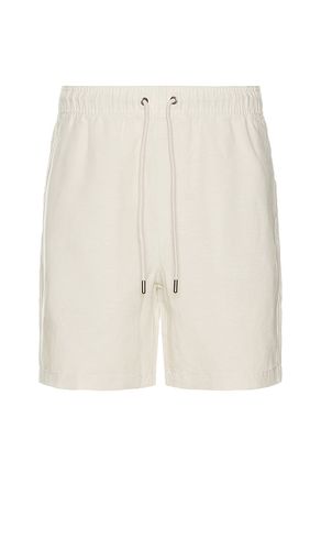 Onia SHORT in Beige. Size S, XL/1X - onia - Modalova