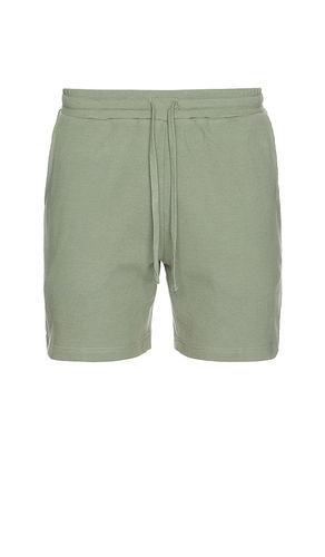 Macro Waffle Pull-on Short 6 in . Size M, XL/1X - onia - Modalova