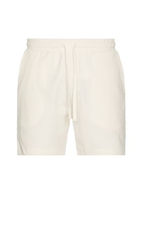 Macro Waffle Pull-on Short 6 in . Size S - onia - Modalova