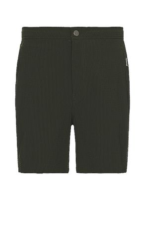 Calder 6 Micro Stripe Swim Short in . Size XL/1X - onia - Modalova