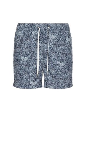 MAILLOT DE BAIN in . Size M, S, XL/1X - onia - Modalova