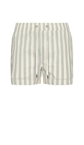 MAILLOT DE BAIN in . Size S, XL/1X - onia - Modalova