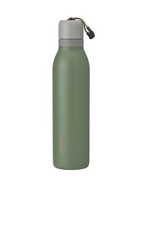 BOUTEILLE ISOTHERME WATER BOTTLE en - Owala - Modalova