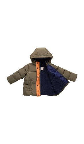 DOUDOUNE PETE en . Taille 3. Also en 6 - Pink Chicken - Modalova