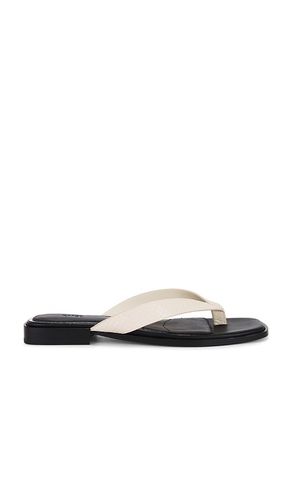 SANDALES RAE in . Size 7.5, 8, 8.5, 9.5 - PAIGE - Modalova