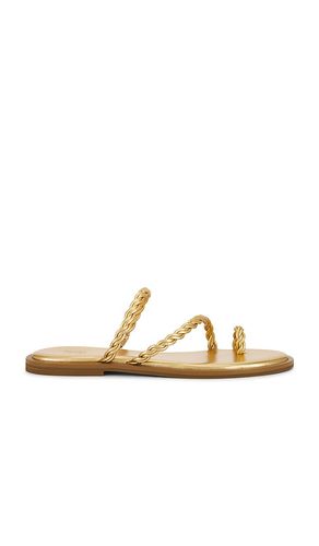 SANDALES ALLEGRA in . Size 7, 7.5, 8, 8.5, 9 - PAIGE - Modalova