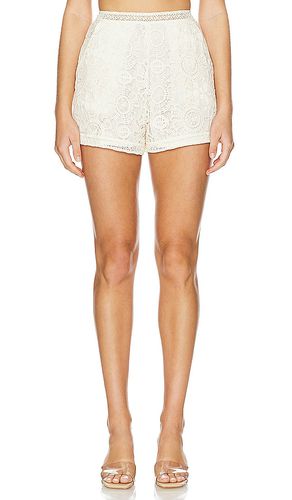 SHORT HIGH WAIST in . Size 0, 2, 4, 6, 8 - PatBO - Modalova