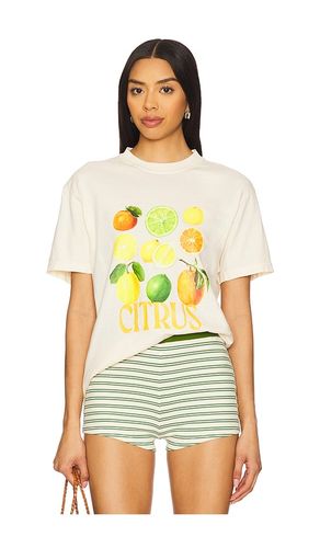 T-SHIRT CITRUS en . Taille L. Also en XL - Polychrome Goods - Modalova