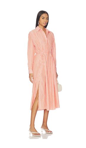 ROBE MANCHES LONGUES AVEC COL en . Taille 2. Also en - Polo Ralph Lauren - Modalova