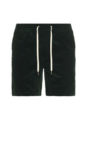 SHORT PREPSTER in . Size M, S, XL/1X - Polo Ralph Lauren - Modalova