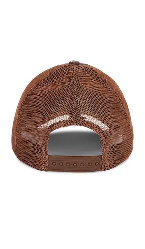 Philcos CHAPEAU LONE STAR en Brown - Philcos - Modalova
