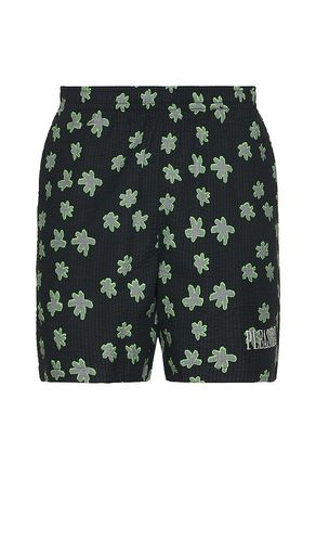 SHORT FLORAL SEERSUCKER in . Size M, S, XL/1X - Pleasures - Modalova