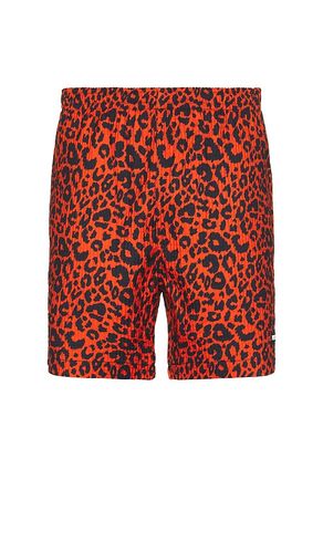 SHORT DE SPORT LEOPARD in . Size M, S, XL/1X - Pleasures - Modalova