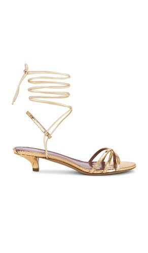 SANDALES LINDA en . Taille 36. Also en 37, 38 - Paris Texas - Modalova