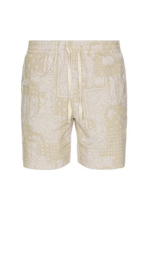 SHORT NOVA in . Size M, S, XL/1X - Rails - Modalova