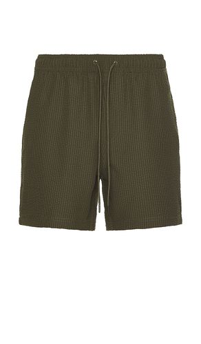 SHORT LA BREA in . Size M, XL/1X - Rails - Modalova